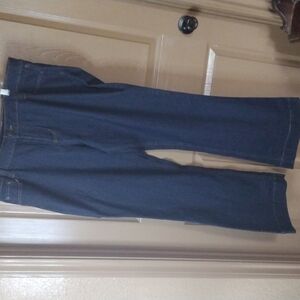 NWT Plus Size Jeans by APT. 9  👖